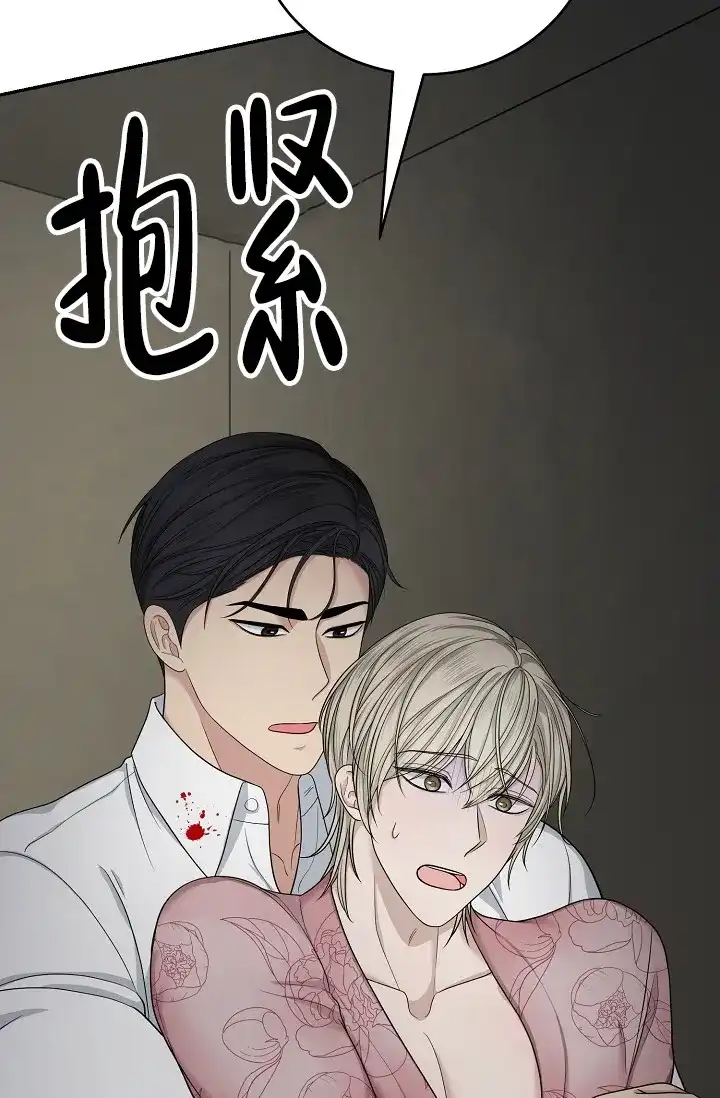 《金丝雀》第11话 第8页