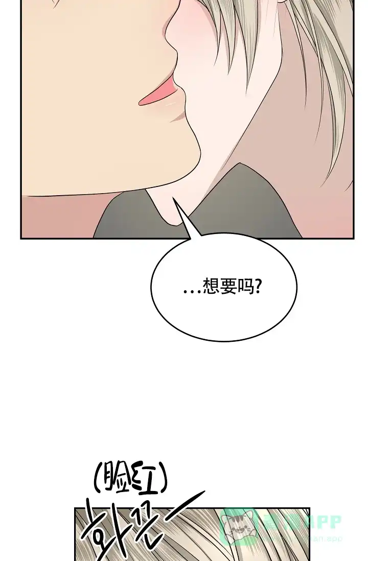 《金丝雀》第13话 第6页