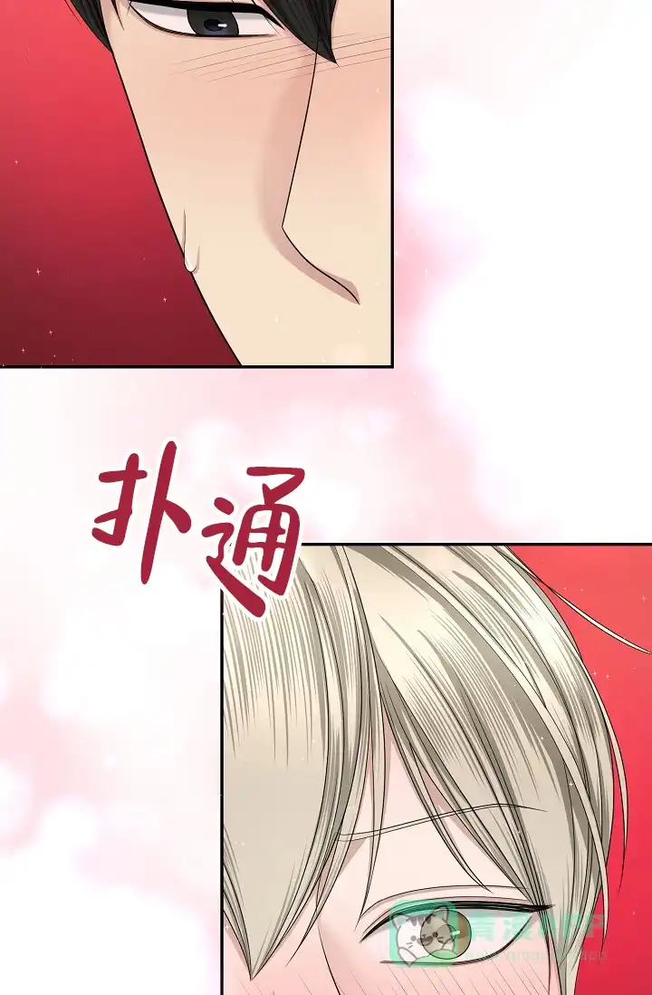 《金丝雀》第15话 第36页