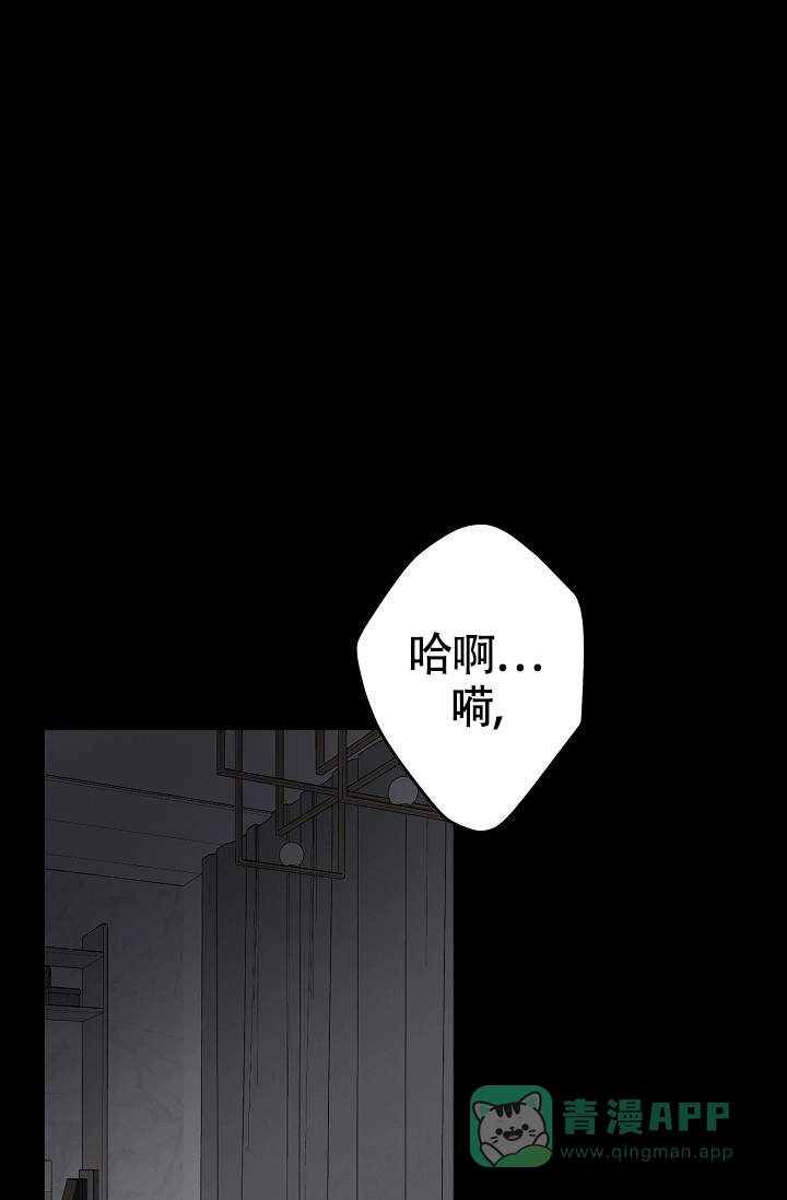 《金丝雀》第19话 第1页