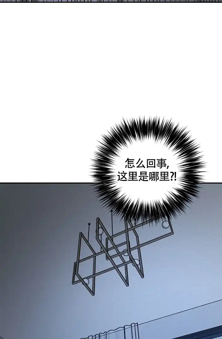 《金丝雀》第2话 第35页