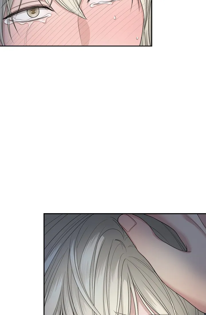 《金丝雀》第6话 第7页