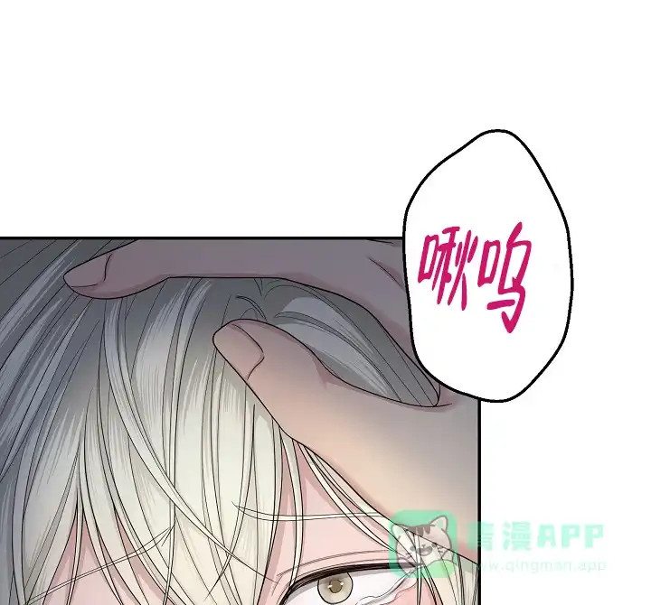 《金丝雀》第6话 第6页