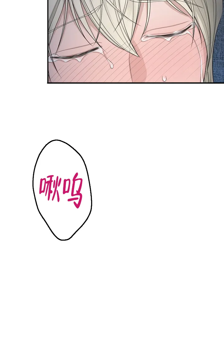 《金丝雀》第6话 第8页