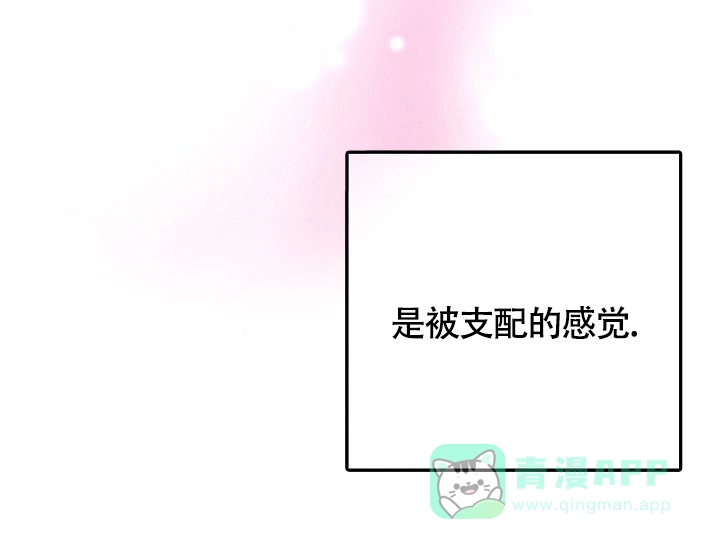 《金丝雀》第8话 第26页