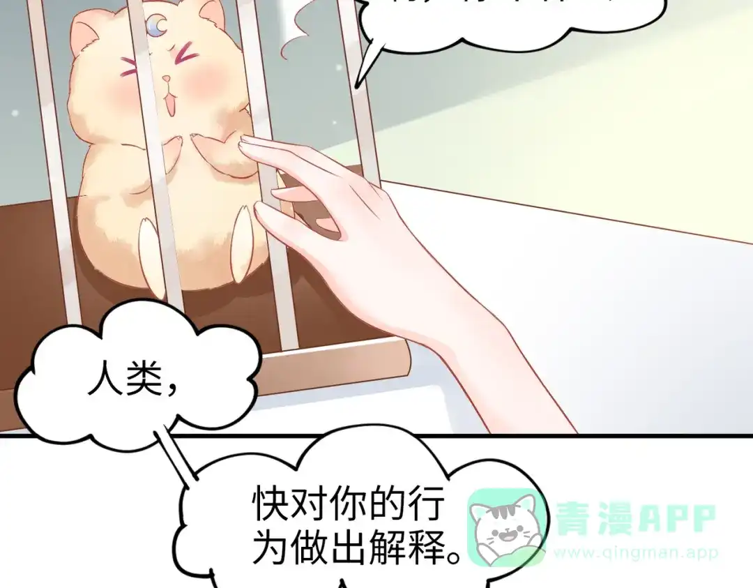 《金丝熊的恋爱宝典》001 金丝熊说话了？ 第61页