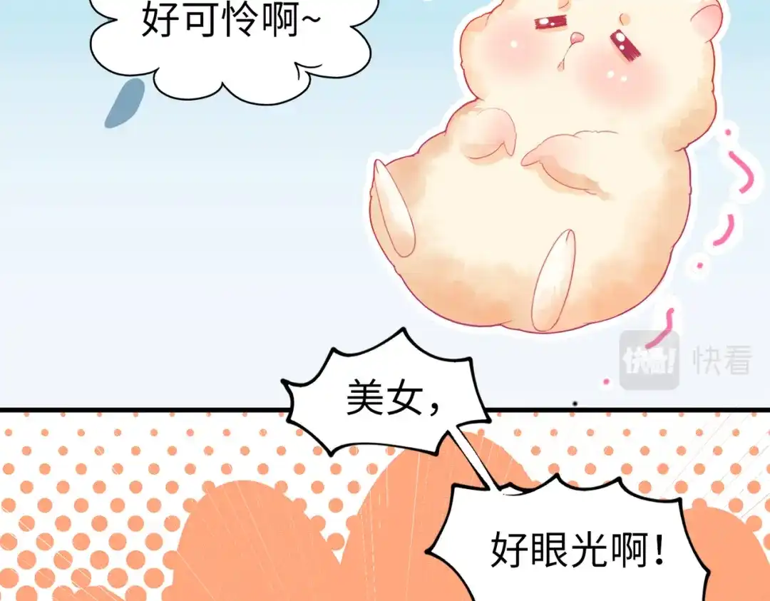《金丝熊的恋爱宝典》001 金丝熊说话了？ 第12页