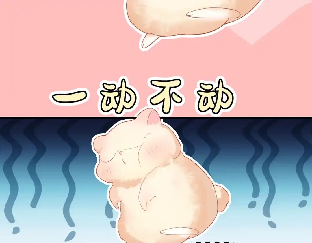 《金丝熊的恋爱宝典》001 金丝熊说话了？ 第25页