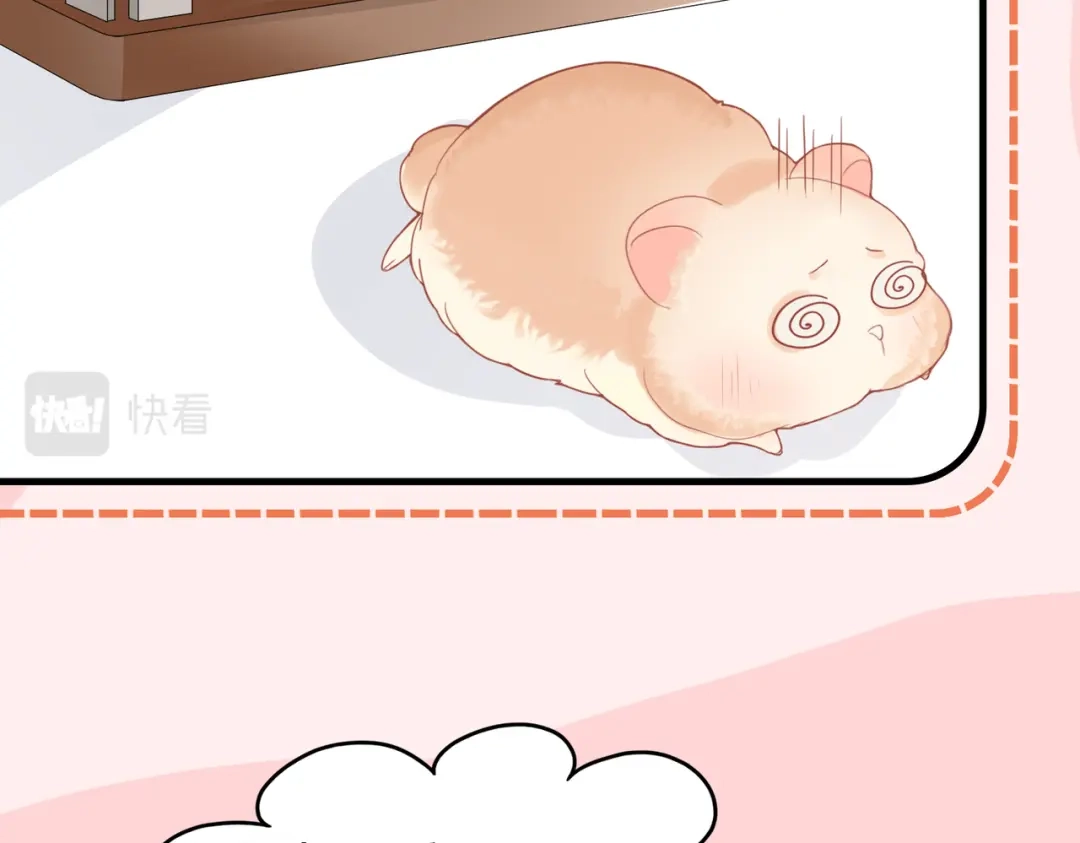 《金丝熊的恋爱宝典》001 金丝熊说话了？ 第23页