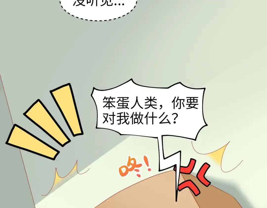 《金丝熊的恋爱宝典》001 金丝熊说话了？ 第53页