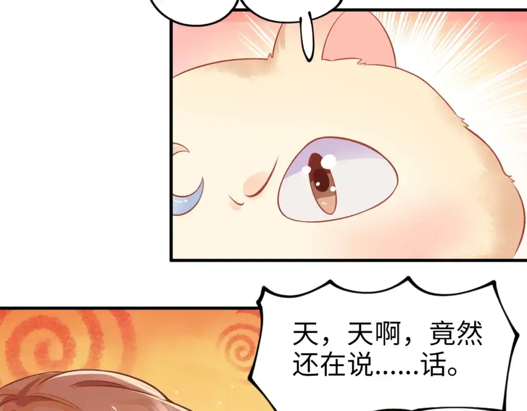 《金丝熊的恋爱宝典》001 金丝熊说话了？ 第62页