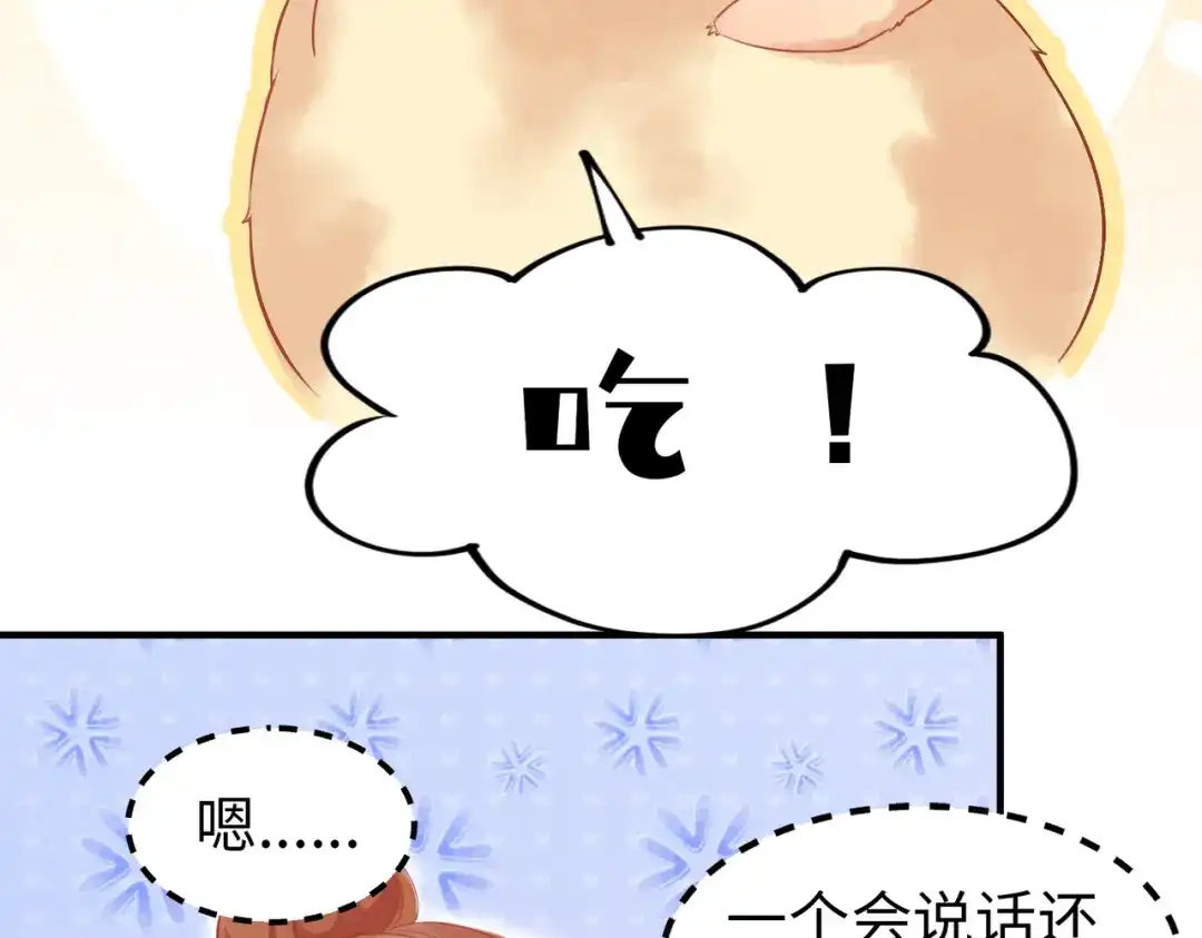 《金丝熊的恋爱宝典》001 金丝熊说话了？ 第67页