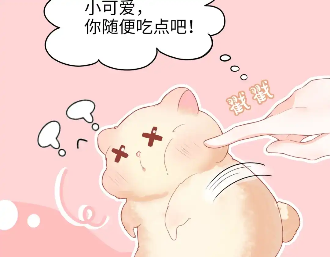 《金丝熊的恋爱宝典》001 金丝熊说话了？ 第24页