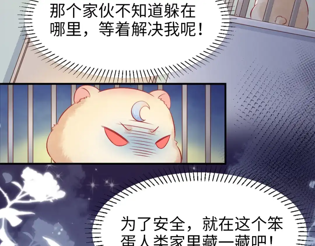 《金丝熊的恋爱宝典》001 金丝熊说话了？ 第75页