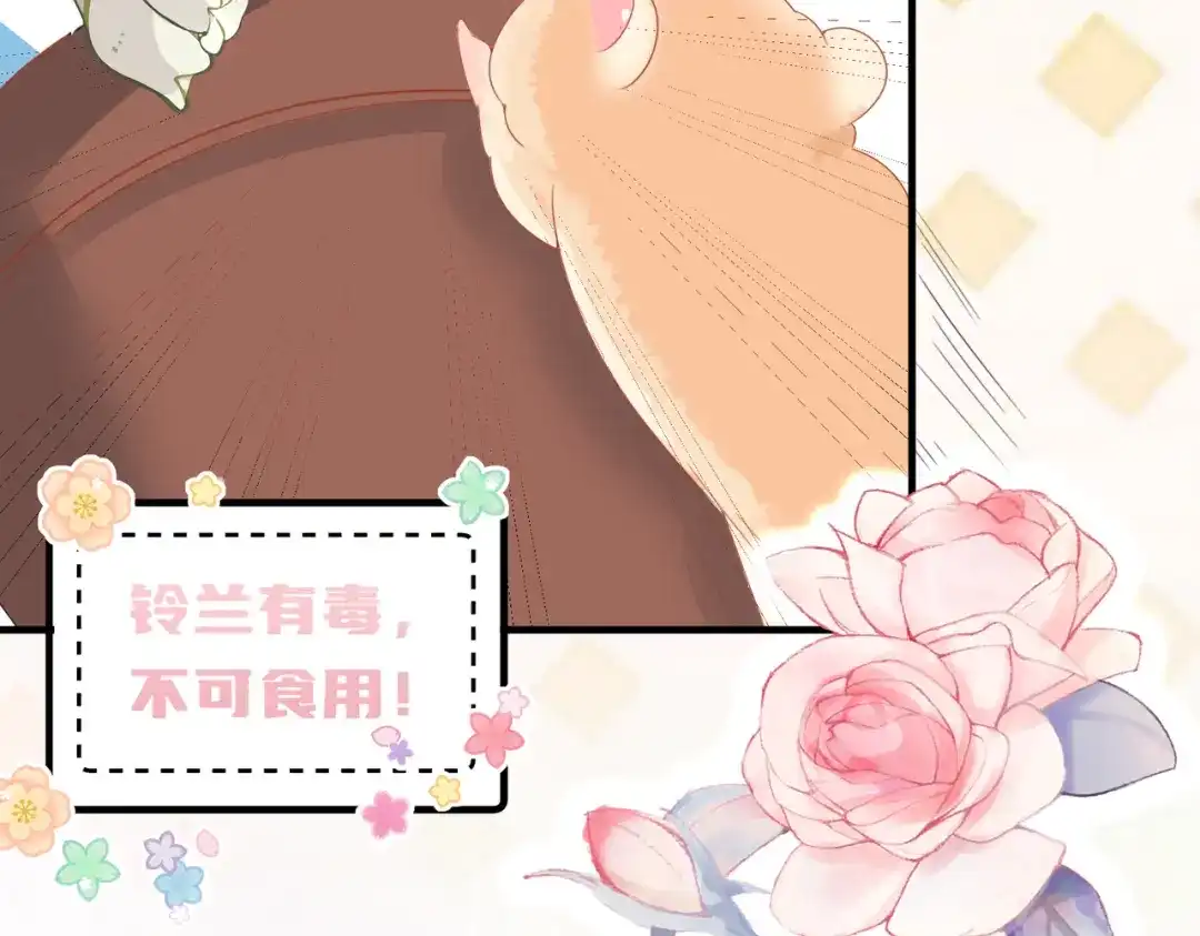 《金丝熊的恋爱宝典》001 金丝熊说话了？ 第47页