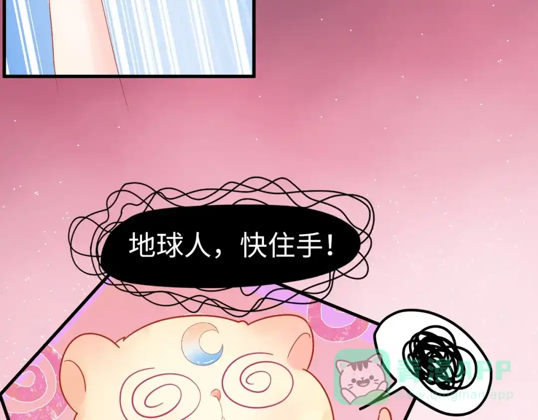 《金丝熊的恋爱宝典》001 金丝熊说话了？ 第41页