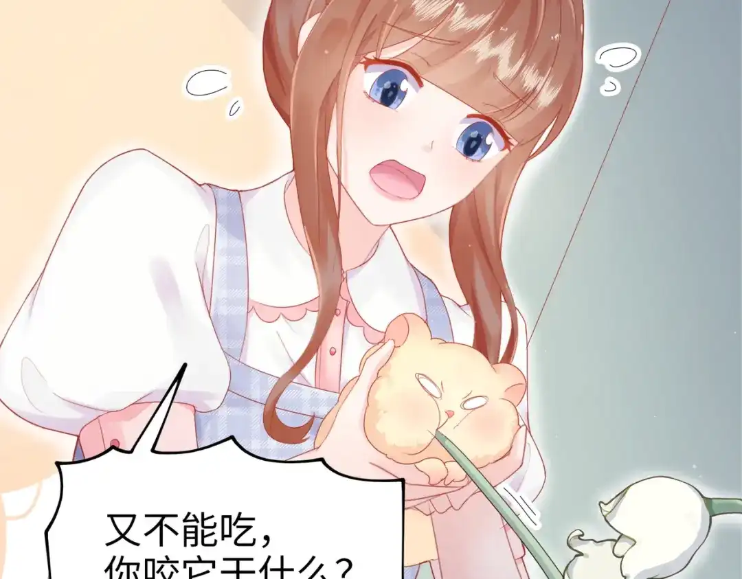 《金丝熊的恋爱宝典》001 金丝熊说话了？ 第35页