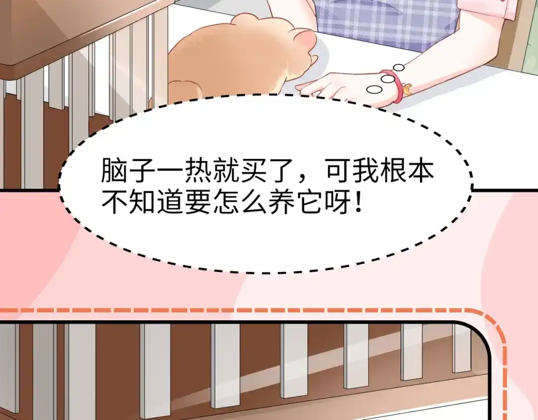 《金丝熊的恋爱宝典》001 金丝熊说话了？ 第22页