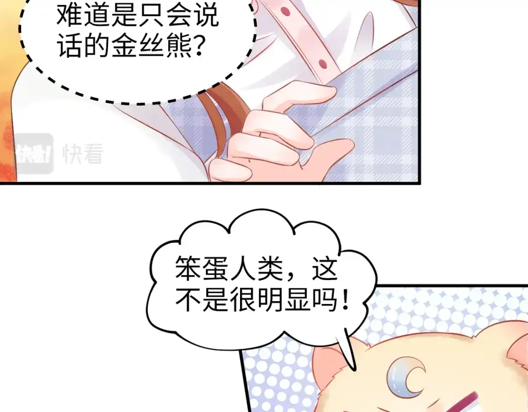 《金丝熊的恋爱宝典》001 金丝熊说话了？ 第64页
