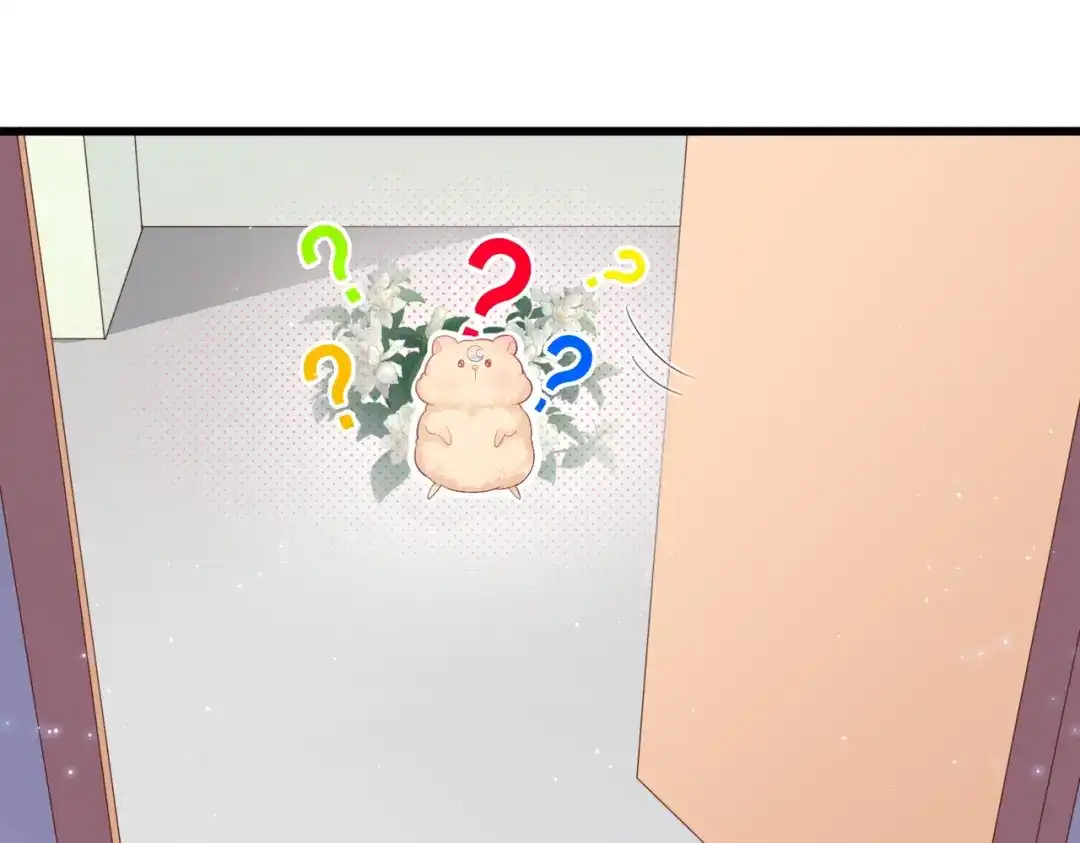 《金丝熊的恋爱宝典》002 那只熊是个人！！ 第72页