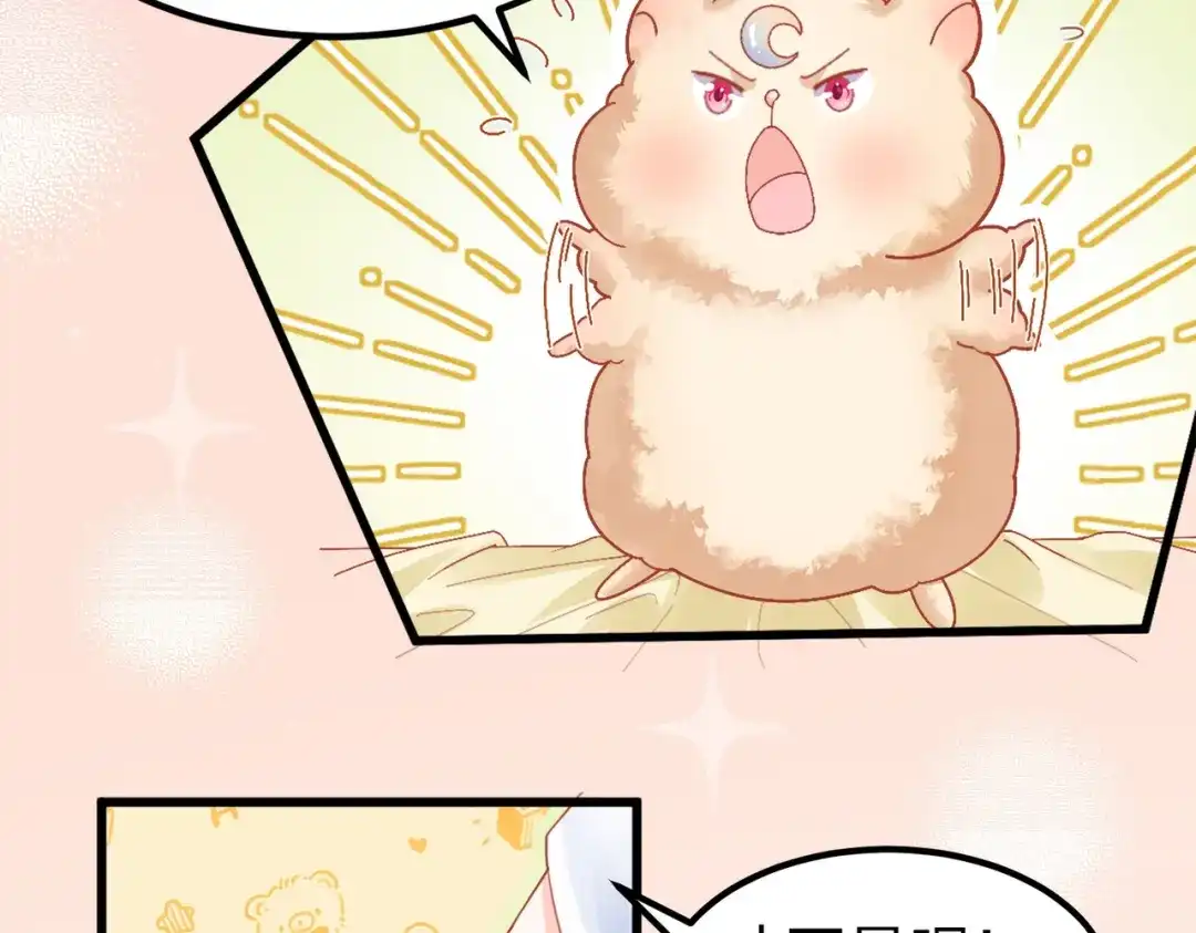 《金丝熊的恋爱宝典》002 那只熊是个人！！ 第39页