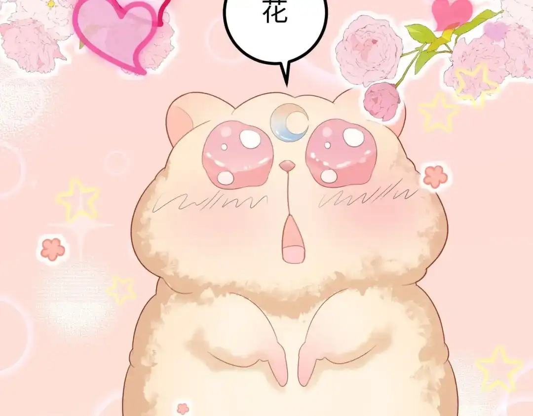 《金丝熊的恋爱宝典》002 那只熊是个人！！ 第68页