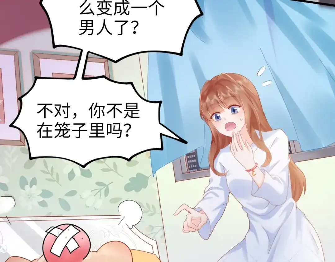《金丝熊的恋爱宝典》002 那只熊是个人！！ 第15页