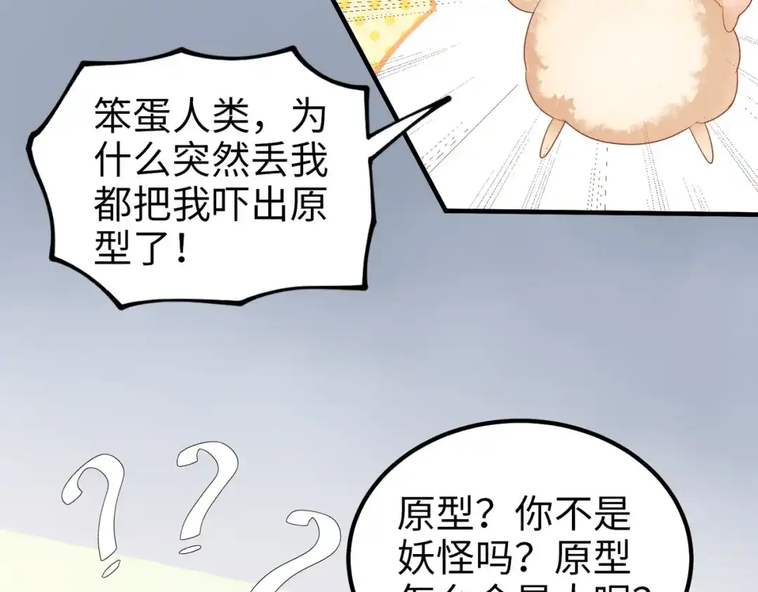 《金丝熊的恋爱宝典》002 那只熊是个人！！ 第17页