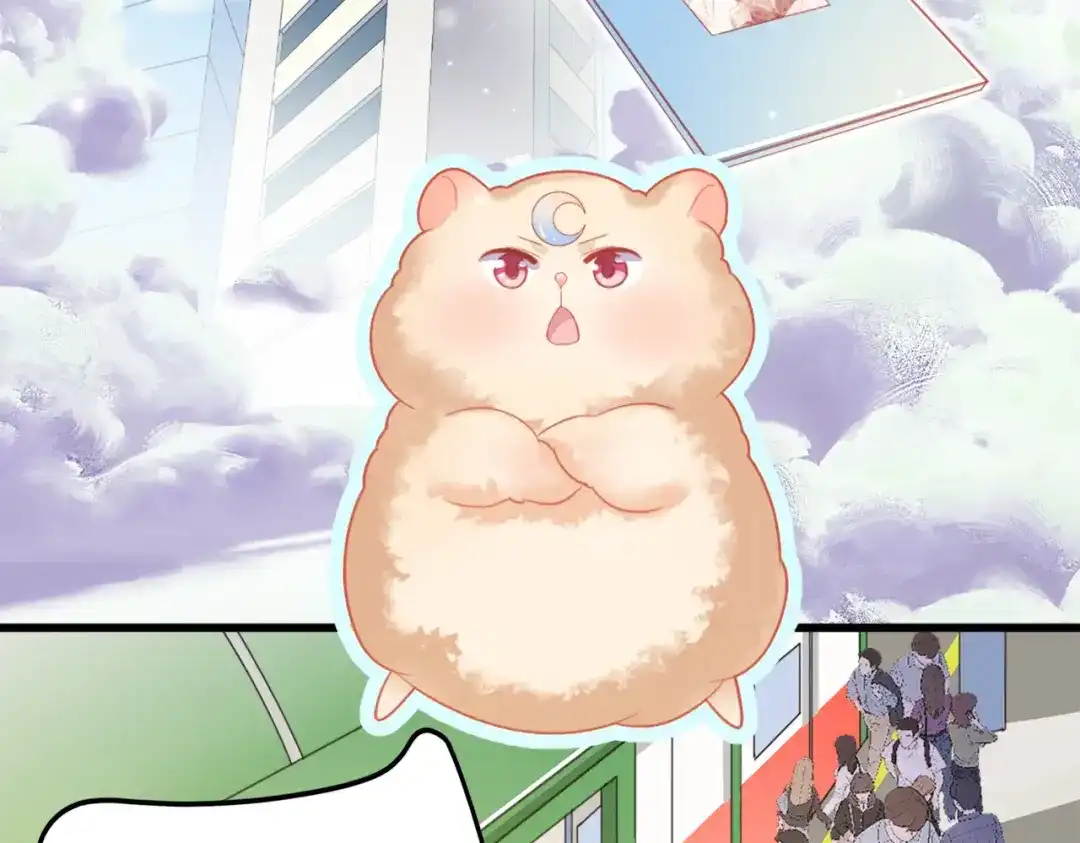 《金丝熊的恋爱宝典》002 那只熊是个人！！ 第23页