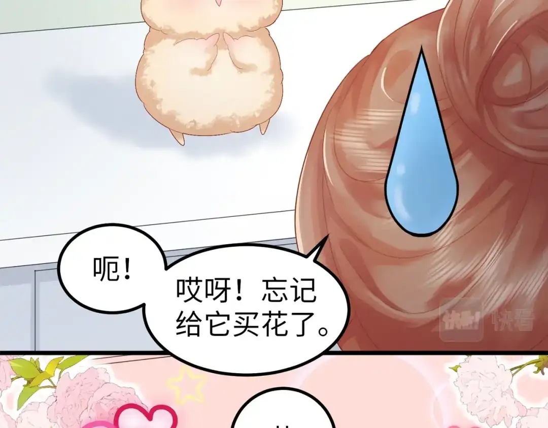 《金丝熊的恋爱宝典》002 那只熊是个人！！ 第67页