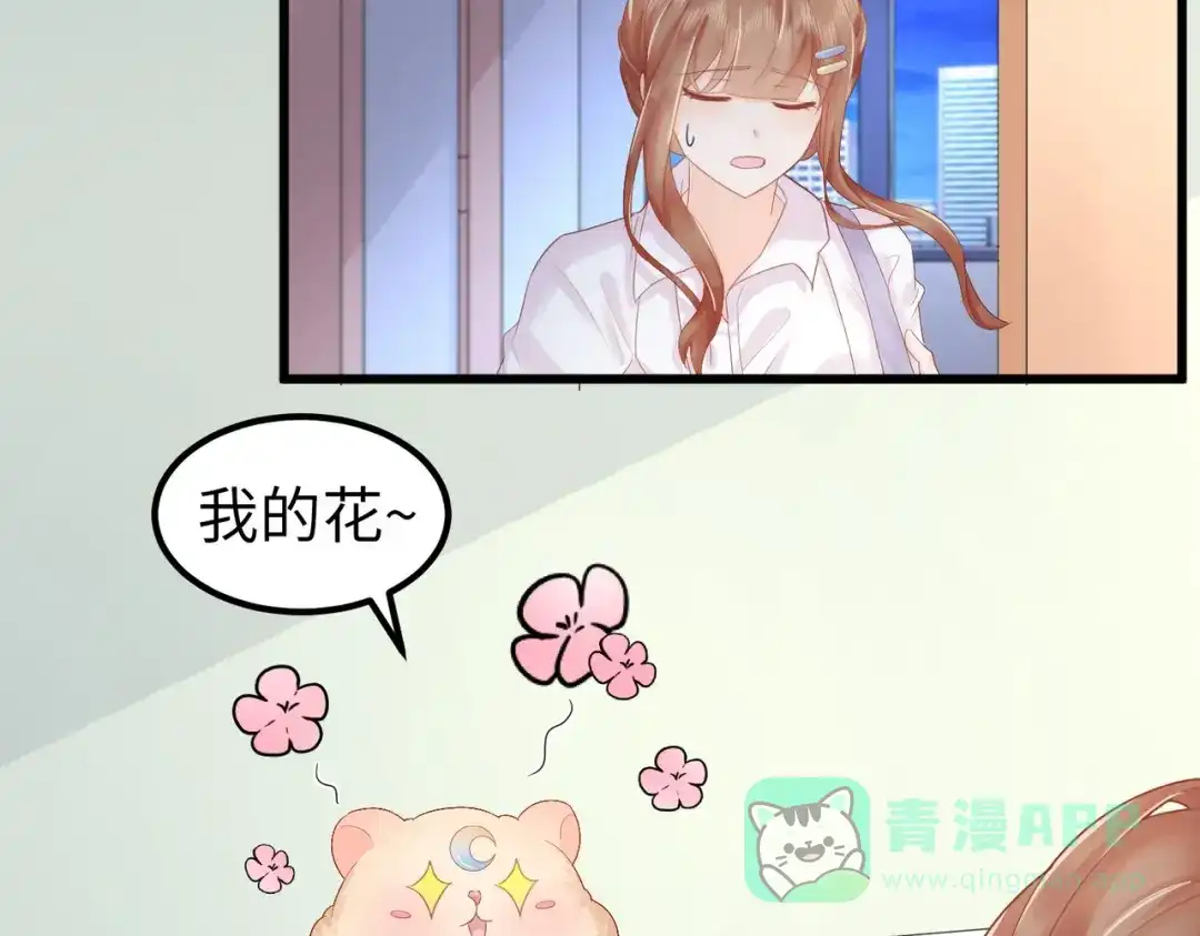 《金丝熊的恋爱宝典》002 那只熊是个人！！ 第66页