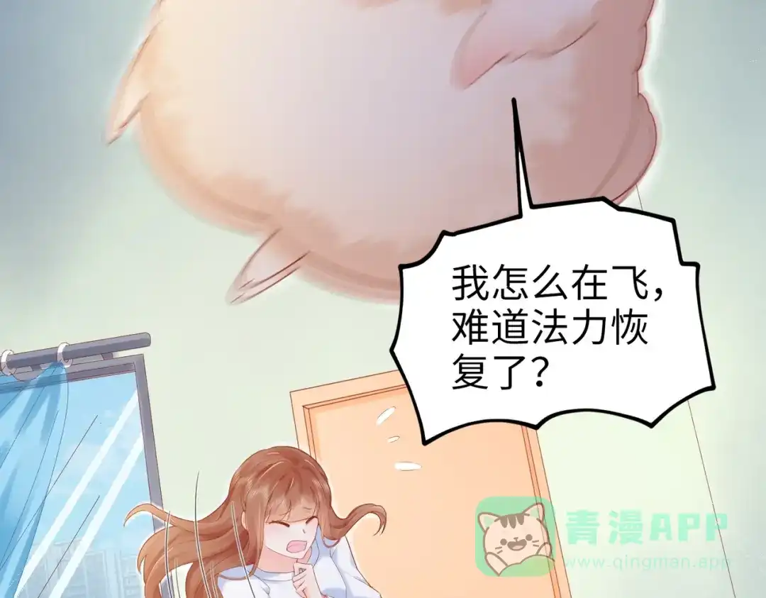 《金丝熊的恋爱宝典》002 那只熊是个人！！ 第11页