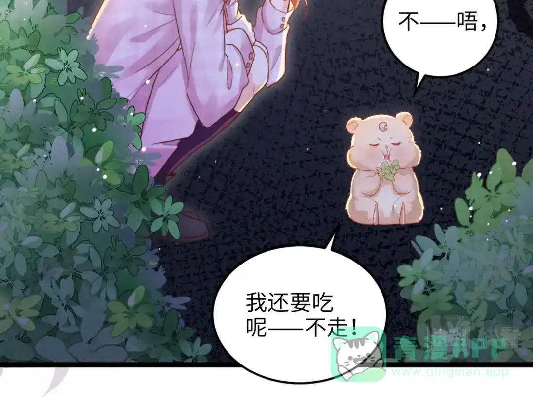《金丝熊的恋爱宝典》003 我被金丝熊壁咚了？ 第16页