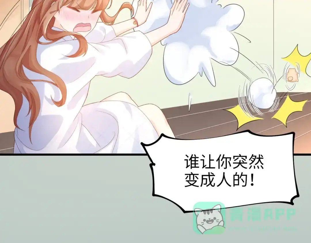 《金丝熊的恋爱宝典》003 我被金丝熊壁咚了？ 第81页