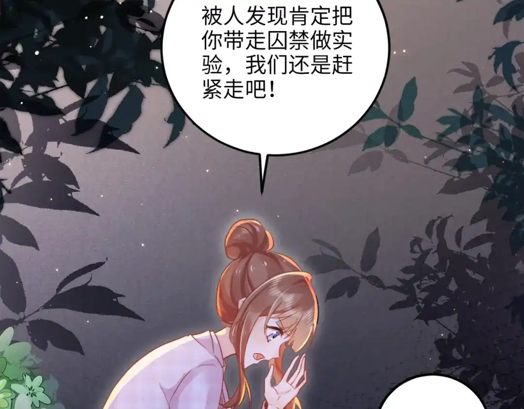 《金丝熊的恋爱宝典》003 我被金丝熊壁咚了？ 第15页