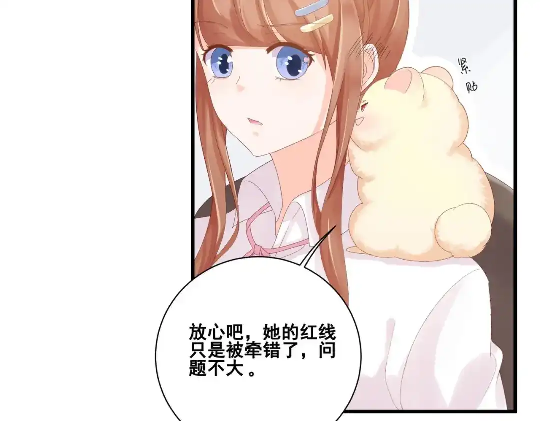 《金丝熊的恋爱宝典》004 牵线行动开启！ 第37页