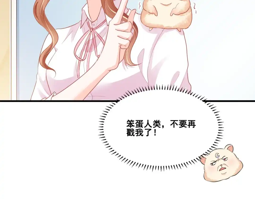 《金丝熊的恋爱宝典》004 牵线行动开启！ 第62页