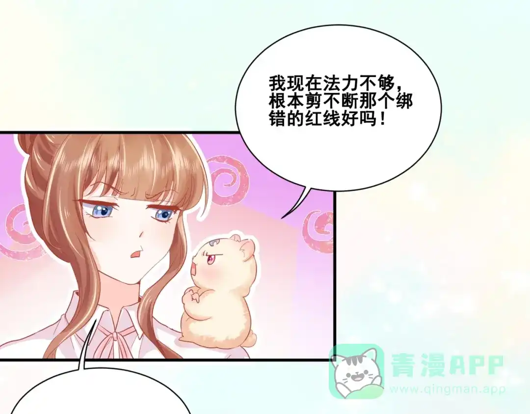 《金丝熊的恋爱宝典》004 牵线行动开启！ 第66页