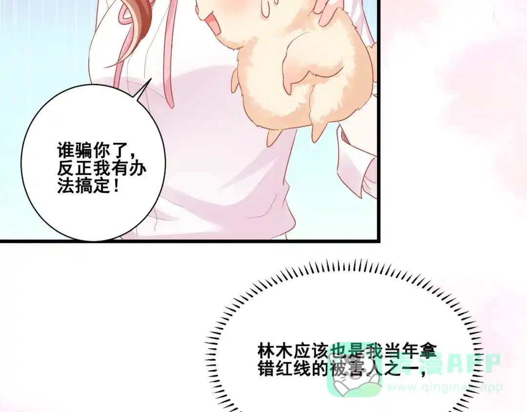 《金丝熊的恋爱宝典》004 牵线行动开启！ 第71页