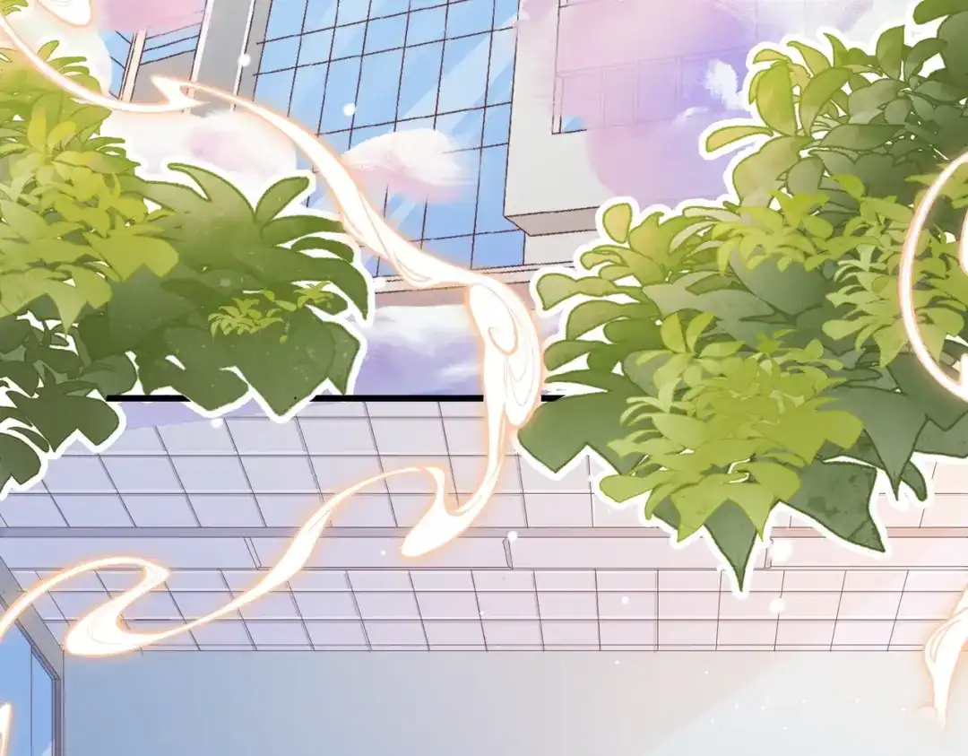 《金丝熊的恋爱宝典》004 牵线行动开启！ 第42页