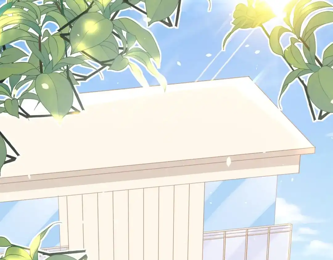 《金丝熊的恋爱宝典》004 牵线行动开启！ 第20页
