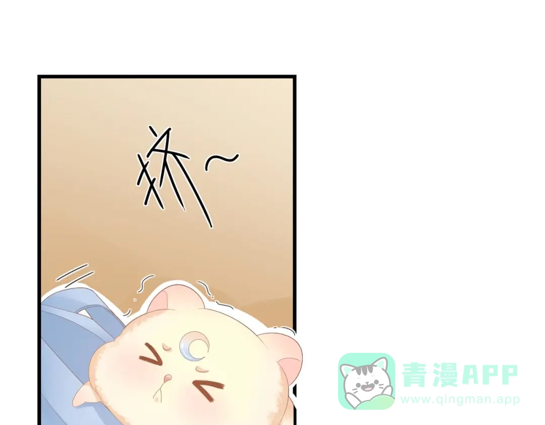 《金丝熊的恋爱宝典》004 牵线行动开启！ 第31页