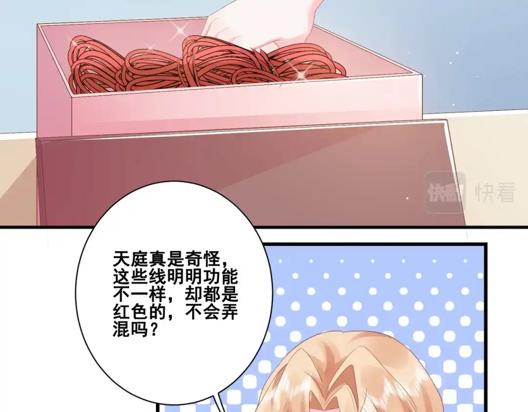 《金丝熊的恋爱宝典》004 牵线行动开启！ 第45页
