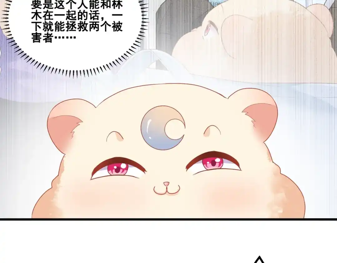 《金丝熊的恋爱宝典》004 牵线行动开启！ 第77页