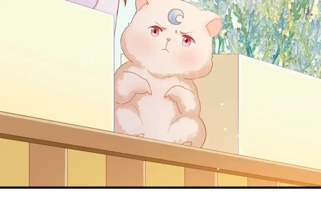 《金丝熊的恋爱宝典》005 走，相亲去！ 第57页