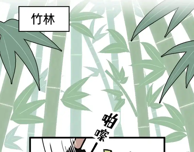 《今天不营业》40采集组大PK 第14页