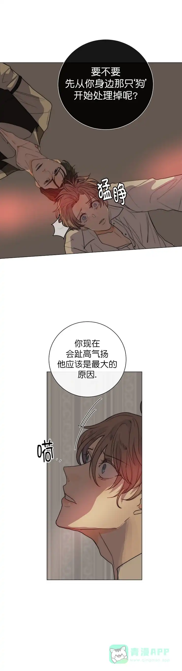 《今天开始我是你的狗》第24话 第6页