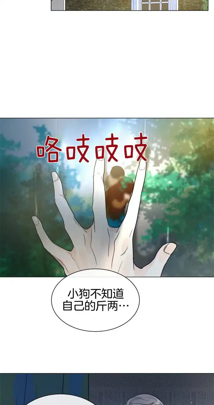 《今天开始我是你的狗》第68话 第20页