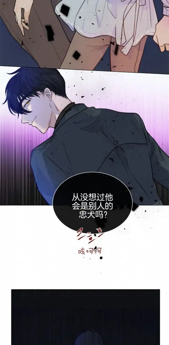 《今天开始我是你的狗》第82话 第2页