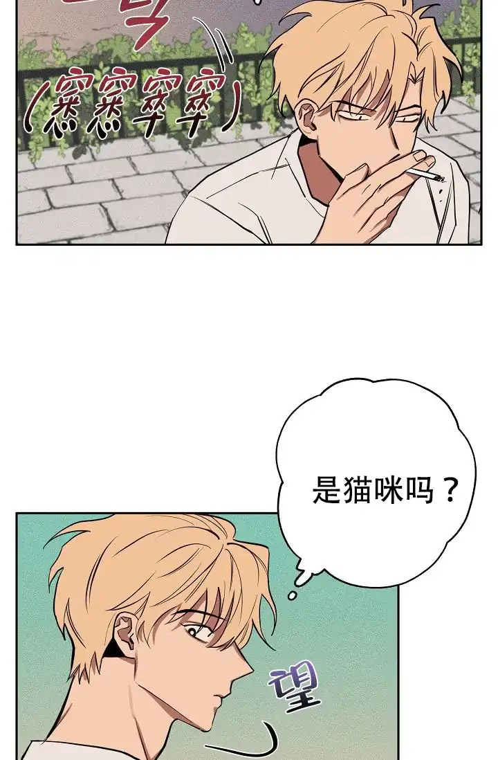 《金星的轨迹》第18话 第19页